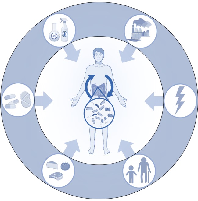 Logo Functional Metabolomics